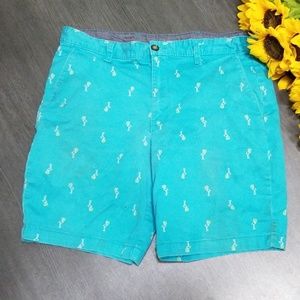 Teal Chino Shorts W/Neon Flamingo Accents
